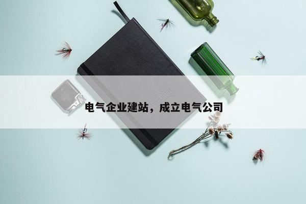 电气企业建站，成立电气公司