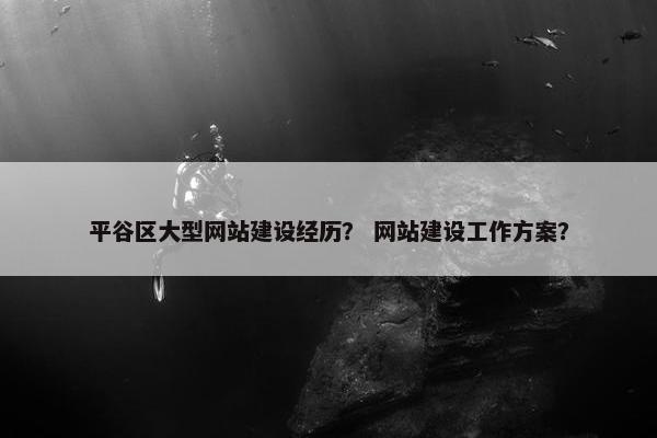 平谷区大型网站建设经历？ 网站建设工作方案？