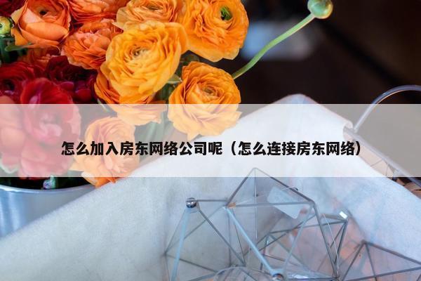 怎么加入房东网络公司呢（怎么连接房东网络）