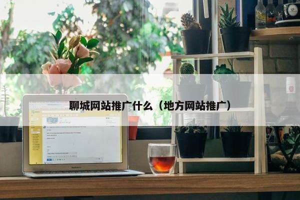 聊城网站推广什么（地方网站推广）