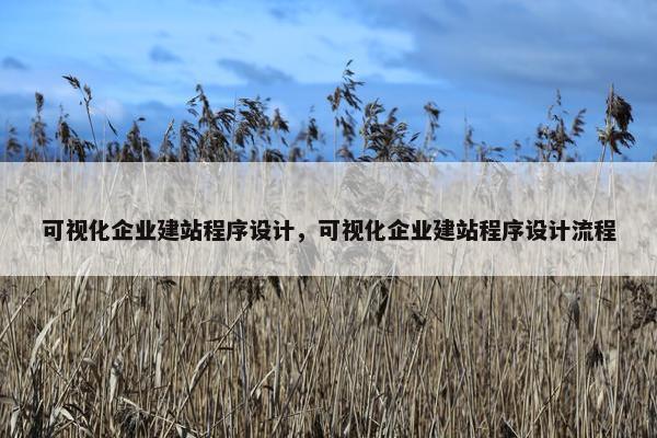 可视化企业建站程序设计，可视化企业建站程序设计流程