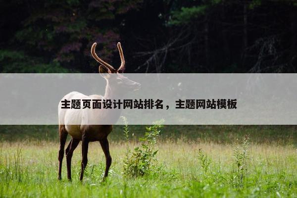 主题页面设计网站排名，主题网站模板