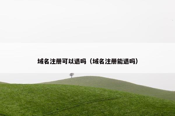 域名注册可以退吗（域名注册能退吗）