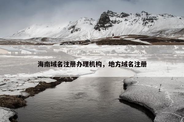 海南域名注册办理机构，地方域名注册