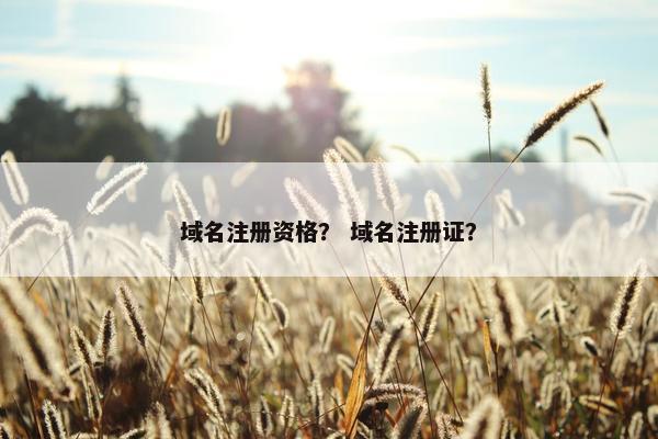 域名注册资格？ 域名注册证？