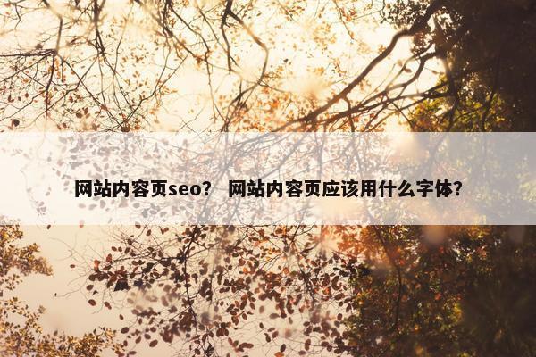 网站内容页seo？ 网站内容页应该用什么字体？