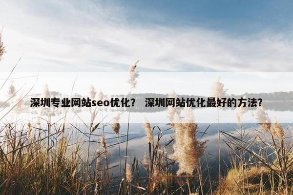 深圳专业网站seo优化？ 深圳网站优化最好的方法？