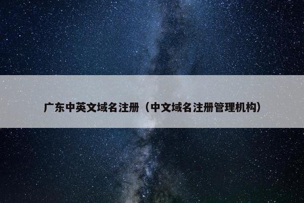 广东中英文域名注册（中文域名注册管理机构）