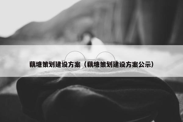 藕塘策划建设方案（藕塘策划建设方案公示）