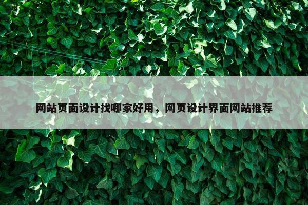 网站页面设计找哪家好用，网页设计界面网站推荐