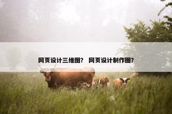 网页设计三维图？ 网页设计制作图？
