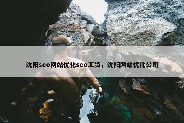 沈阳seo网站优化seo工资，沈阳网站优化公司