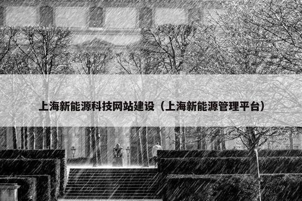 上海新能源科技网站建设（上海新能源管理平台）