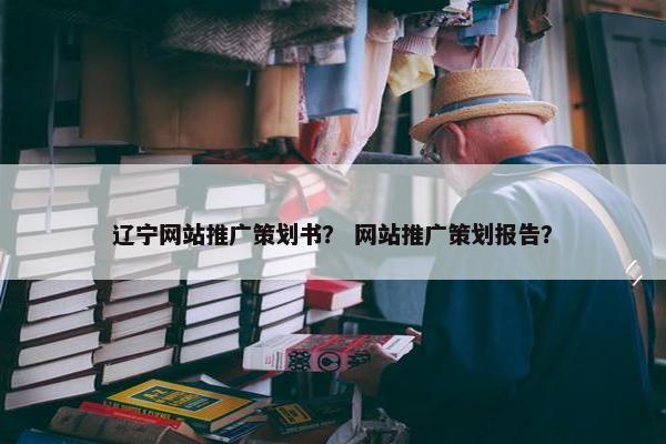 辽宁网站推广策划书？ 网站推广策划报告？