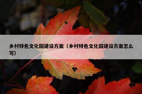 乡村特色文化园建设方案（乡村特色文化园建设方案怎么写）