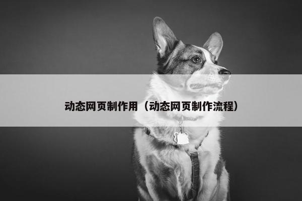 动态网页制作用（动态网页制作流程）