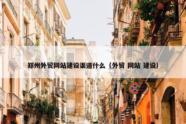 郑州外贸网站建设渠道什么（外贸 网站 建设）