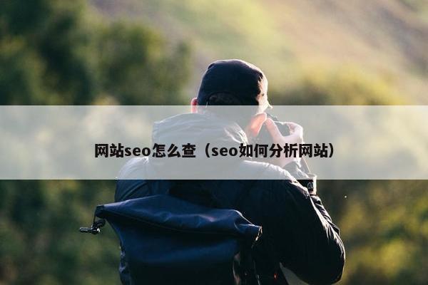 网站seo怎么查（seo如何分析网站）