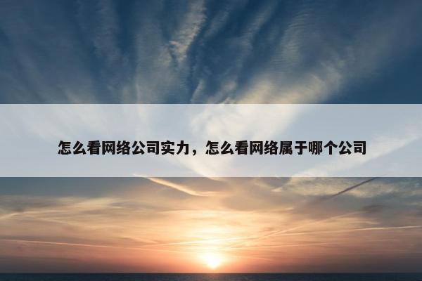 怎么看网络公司实力，怎么看网络属于哪个公司