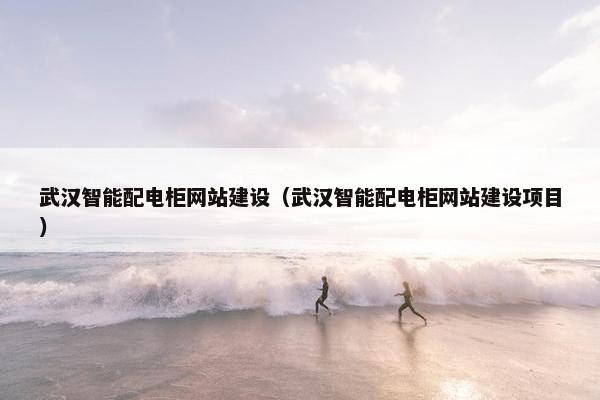 武汉智能配电柜网站建设（武汉智能配电柜网站建设项目）