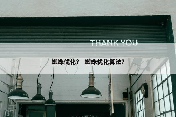 蜘蛛优化？ 蜘蛛优化算法？
