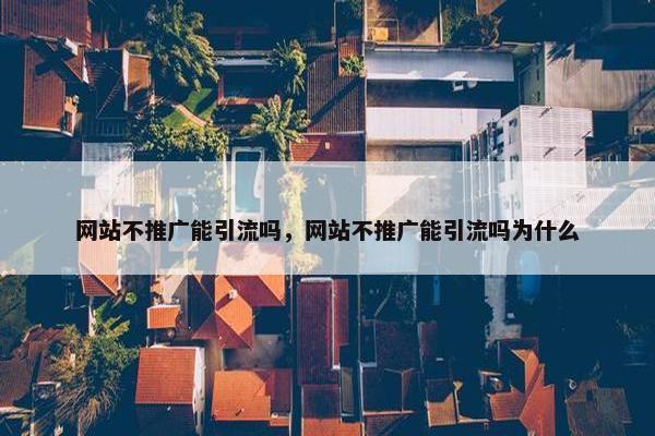 网站不推广能引流吗，网站不推广能引流吗为什么