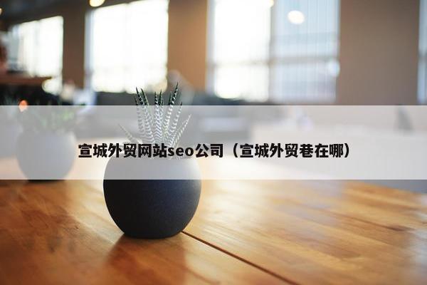 宣城外贸网站seo公司（宣城外贸巷在哪）