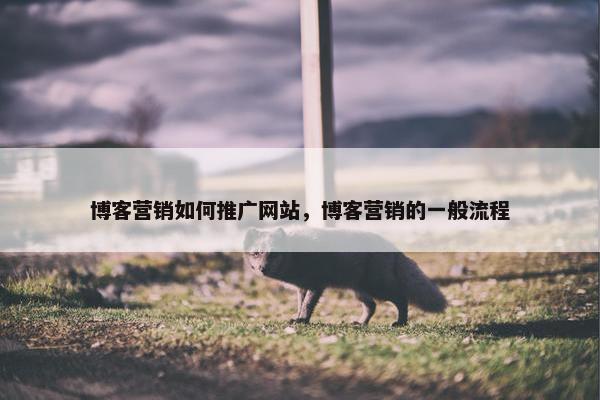博客营销如何推广网站，博客营销的一般流程
