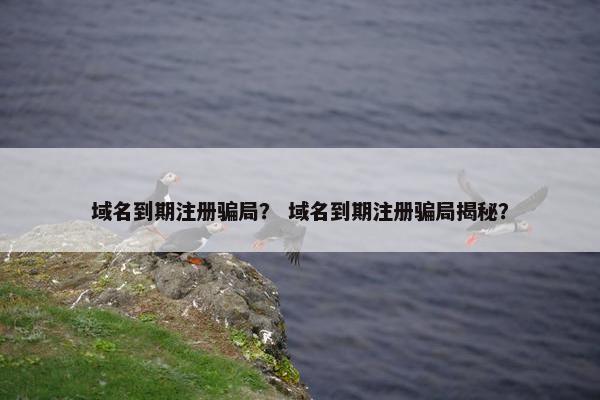 域名到期注册骗局？ 域名到期注册骗局揭秘？
