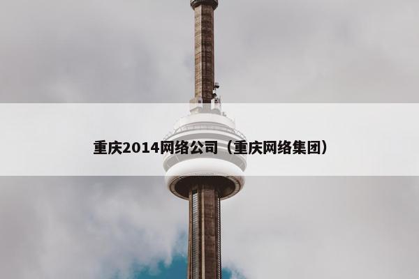 重庆2014网络公司（重庆网络集团）