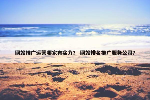 网站推广运营哪家有实力？ 网站排名推广服务公司？