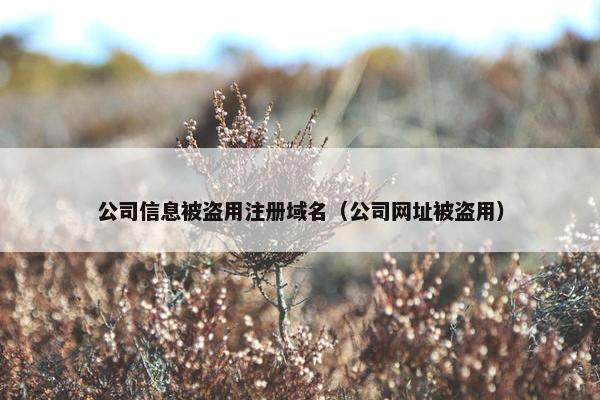 公司信息被盗用注册域名（公司网址被盗用）