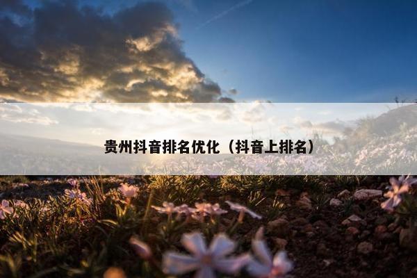 贵州抖音排名优化（抖音上排名）