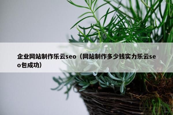 企业网站制作乐云seo（网站制作多少钱实力乐云seo包成功）