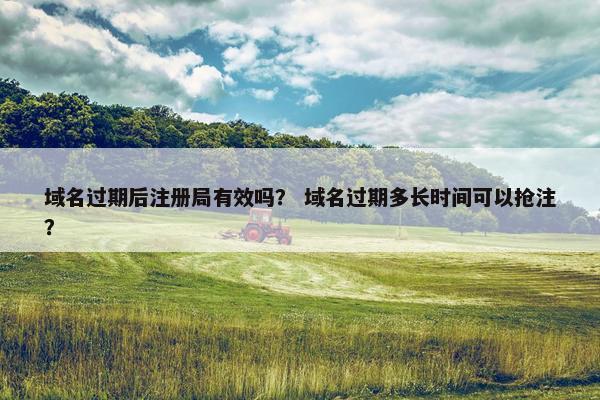 域名过期后注册局有效吗？ 域名过期多长时间可以抢注？