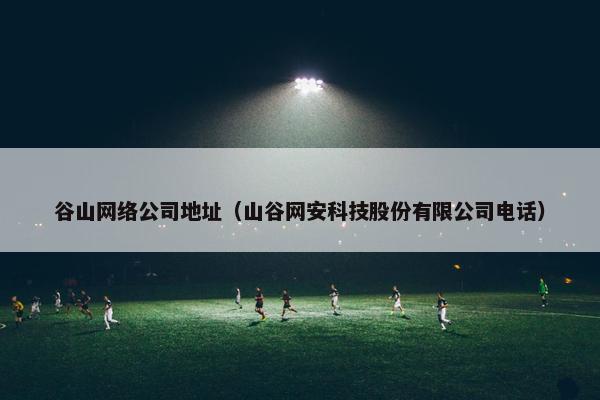 谷山网络公司地址（山谷网安科技股份有限公司电话）