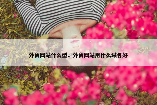 外贸网站什么型，外贸网站用什么域名好