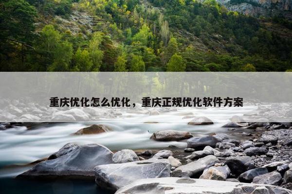重庆优化怎么优化，重庆正规优化软件方案