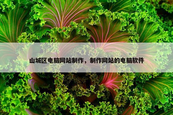 山城区电脑网站制作，制作网站的电脑软件