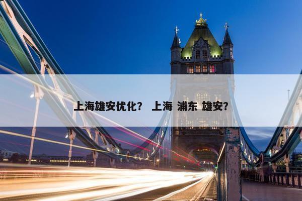 上海雄安优化？ 上海 浦东 雄安？