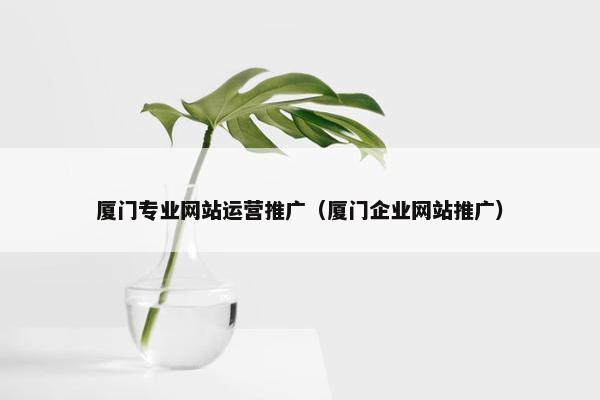 厦门专业网站运营推广（厦门企业网站推广）