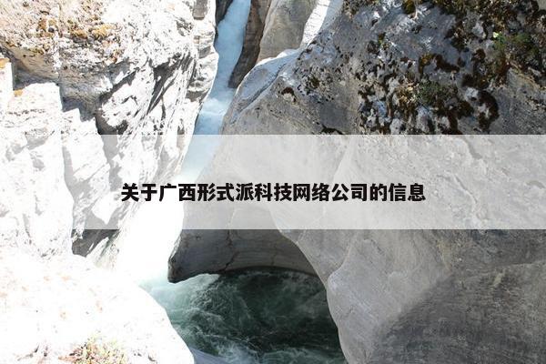关于广西形式派科技网络公司的信息