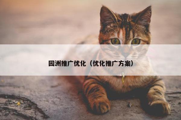 园洲推广优化（优化推广方案）