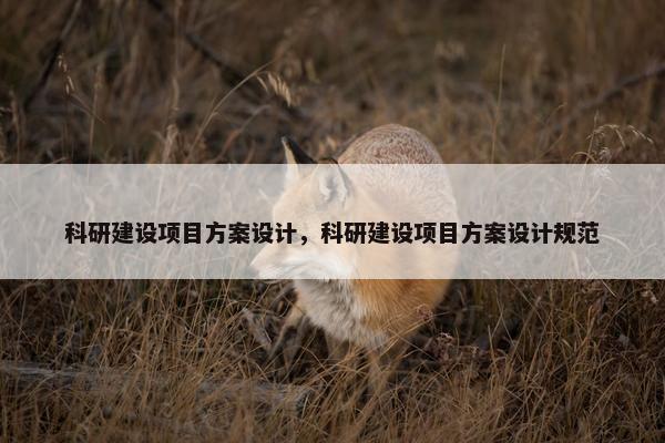 科研建设项目方案设计，科研建设项目方案设计规范