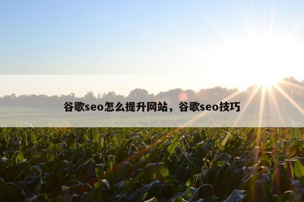 谷歌seo怎么提升网站，谷歌seo技巧