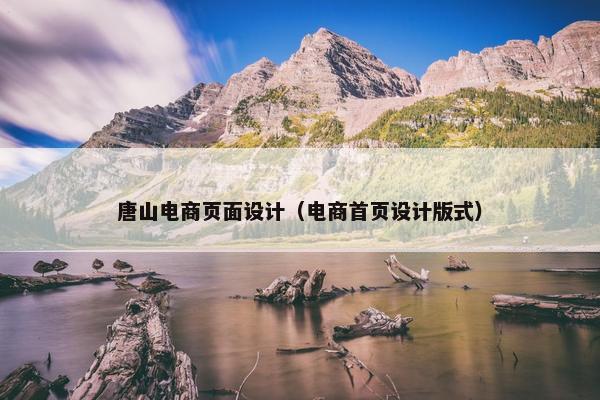 唐山电商页面设计（电商首页设计版式）