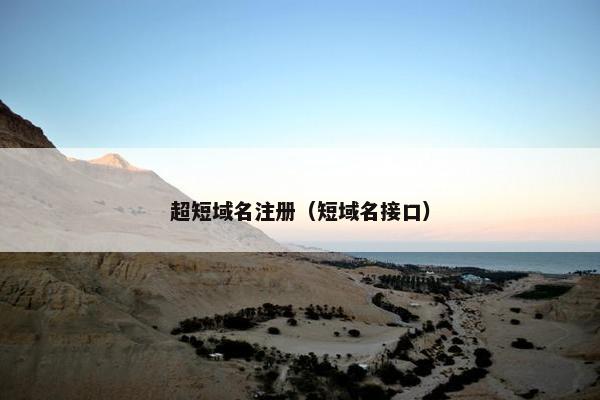 超短域名注册（短域名接口）