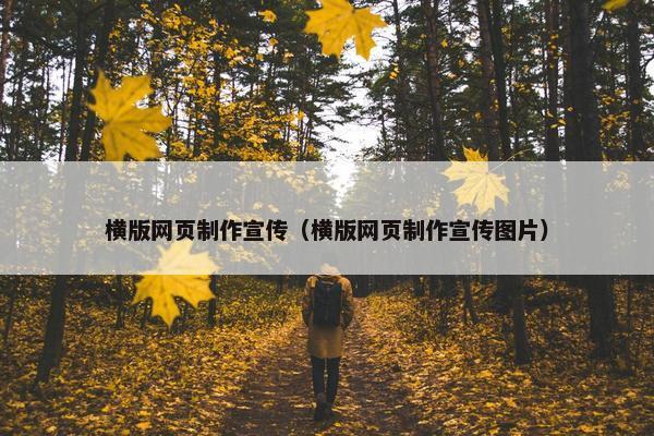 横版网页制作宣传（横版网页制作宣传图片）