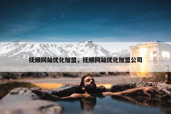 抚顺网站优化加盟，抚顺网站优化加盟公司