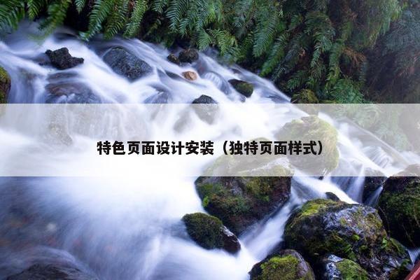 特色页面设计安装（独特页面样式）
